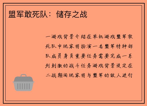 盟军敢死队：储存之战